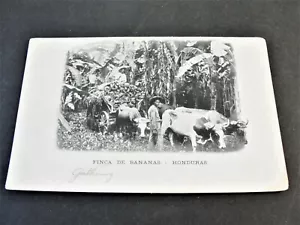 Finca de Bananas, Honduras- Union Postal Universal 1900s Unposted Postcard. - Picture 1 of 2