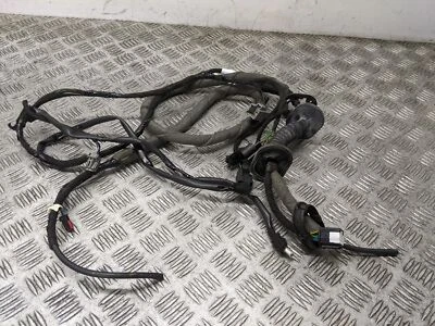 Telar de cableado puerta trasera Ford Ecosport Zetec MK1 2015-2017 FN1T-17K400-AD Foto 1 de 4