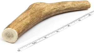 Antler Dog Chew - Premium Elk Antlers for Dogs - Long Lasting Dog Bones for Aggr - Picture 1 of 7