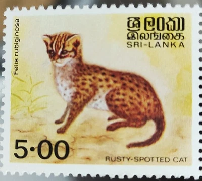 Estampillas de Sri Lanka Ceilán de gato manchado oxidado como nuevas/estampilla minh raras Foto 1 de 2