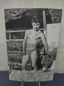 4x6in. 2019 Reprint - 1960s Beefcake Model Dennis Lavia With Donkey - Gay Int - Picture 1 of 4
