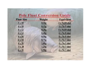 Pole float weight conversion chart on metal plaque with carp design 3 sizes - Picture 1 of 1