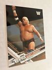 Dusty Rhodes 2017 Topps Bronze Parallel Insert Wrestling Card See Scan