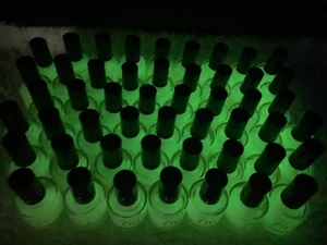 Lot 50 GLOW IN THE DARK Nina Ultra Pro Salon Professional Nail Polish Lacquer - Picture 1 of 4
