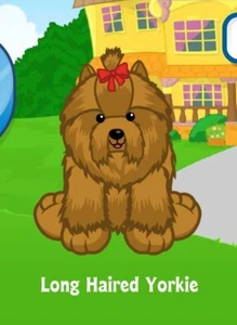 Webkinz Classic Long Haired Yorkie Virtual Adoption Code Only Messaged - Picture 1 of 1