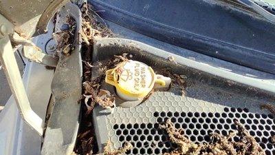 Резервуар жидкости омывателя ветрового стекла 01–10 Chrysler Pt Cruiser с баком стеклоочистителя насоса - Изображение 1 из 2