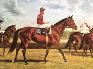 Dr Fager Photo 10 x 8 Horse Racing 1968 Hall of Fame - Picture 1 of 2