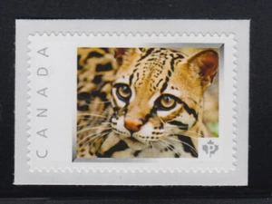 OCELOTE = LEOPARDO ENANO = gato salvaje = sello postal foto montado Canadá 2013 [p3w7/7] - Imagen 1 de 2