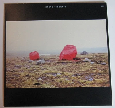 lp vinyl records Steve Tibbetts : Exploded View - Image 1 of 4