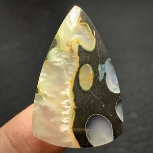 Amygdaloidal with Unique Agate Cabochon 35x22x5mm Teardrop Shaped 29 ct - Picture 1 of 6