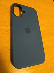 Original Apple Silikon Case mit Magsafe iPhone 16 6,1" Lake Green - Bild 1 von 4