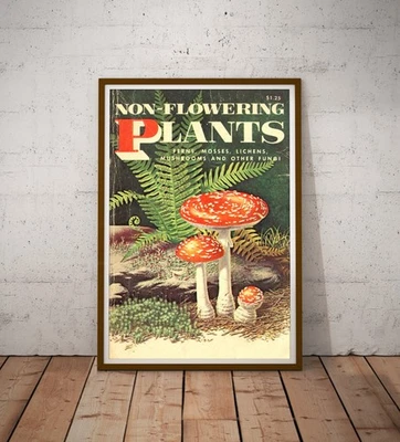 Pôster vintage de cogumelos e samambaias – Estampa botânica (ferneiras, musgos, líquenes, fungos) - Imagem 1 de 4
