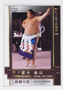 TERUNOFUJI HARUO No.80 - 2025 BBM Sumo Wrestling Card -NAGOMI- - Picture 1 of 3