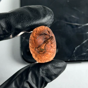COLOMBIANITE TEKTITE - HIGHEST QUALITY 1 PIECE 10.5 gram / 0.370 oz - Picture 1 of 10
