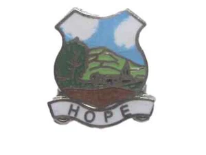 Hope Quality Enamel Lapel Pin Badge - Picture 1 of 2