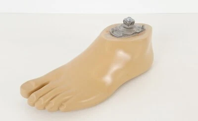 Ottobock 1WR95 Aqua Fuß Prothesenfuß Otto Bock Links 26 Prosthetic Foot Water - Bild 1 von 3