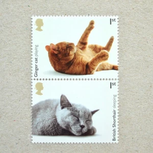 GB stamps Mint 2v 2022 Ginger cat British Shorthair イギリス切手 猫 ブリティッシュ・ショートヘア - Picture 1 of 3