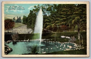 Postcard A Pretty Spot in Busch Gardens Pasadena California USA Swans - Picture 1 of 2