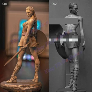 Wonder Woman 1/8 1/6 1/4 3D Print Model Kit Unpainted Unassembled 2 Ver NSFW 1/3 - Picture 1 of 9