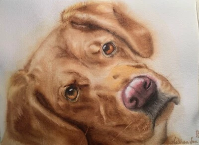 Pintura em aquarela original amarelo cão de laboratório Labrador ou Golden Retriever arte para animais de estimação - Imagem 1 de 4