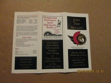 COHL Thunder Bay Senators Vintage Defunct Circa 1994-95 Season Ticket Brochure