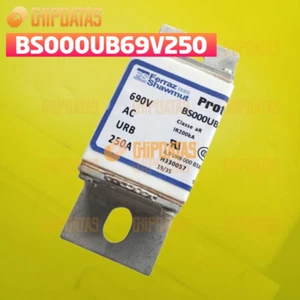 1 PIEZA NUEVO FERRAZ PROTISTOR BS000UB69V250 H330057 250A - Imagen 1 de 1