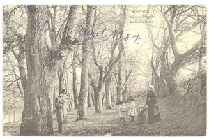 85 (Vendée) - MONTAIGU - Allée de l'Anglée - La Coiffe locale - Animée - Picture 1 of 1