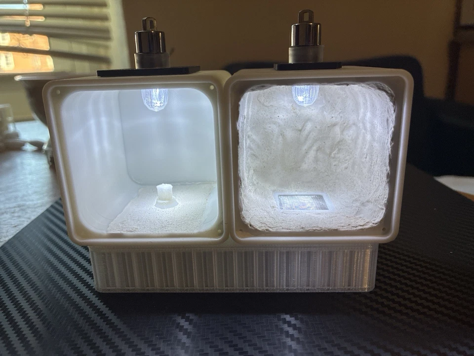 Nido de hormigas para hormigas honeypot [DM POR PRECIO!!!] Foto 1 de 1