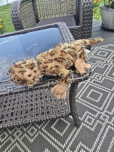 Vintage Collector Ganz Webkinz Leopard Lizard Plush Excellent Condition With Tag - Picture 1 of 6