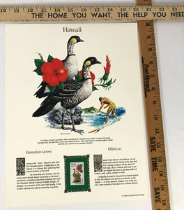 Hawaii Commemorative Mint-Stamp Postal Commemorative Society Collectable. - Picture 1 of 1