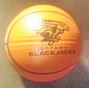 OTTAWA BLACKJACKS BASKETBALL CANADA LEAGUE CEBL SOUVENIR SOFT MINI-BALL NEW - Picture 1 of 2