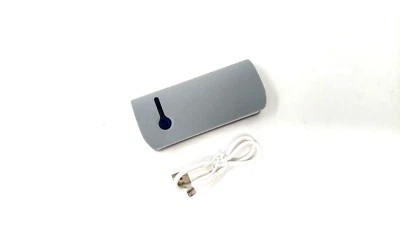 Caricabatteria Power Bank Bicolore Senza Marca Mega Capacità 2600 mAh - Importazione USA - Immagine 1 di 4