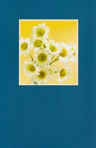 OOPSY-MARGARITAS. MIS DISCULPAS. Tarjeta PARA CUALQUIER PERSONA por AMERICAN GREETINGS, + Sobre - Imagen 1 de 5