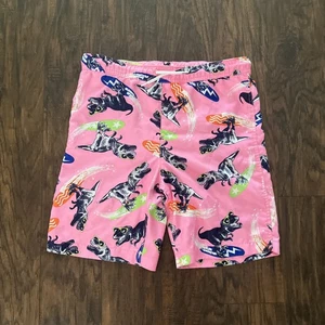 Lands End T Rex Bathing Suit, Size Youth XS - Picture 1 of 2