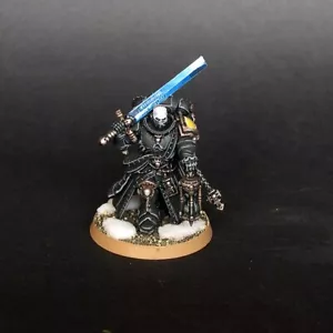 Pro painted W40k Imperial Fists Primaris Judiciar - Picture 1 of 2