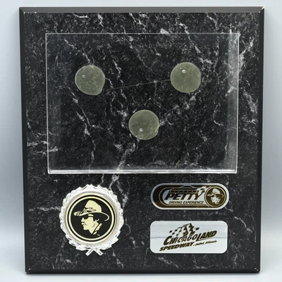 Placa de pared Richard Petty Driving Experience Chicagoland Speedway Illinois VACÍA Foto 1 de 4