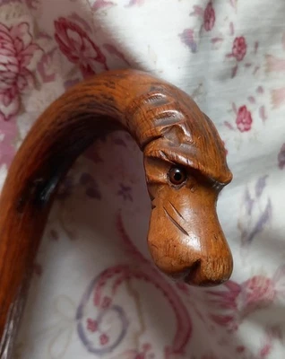ANCIENNE CANNE   TETE DE CHIEN EN BOIS SCULPTE - Photo 1/4