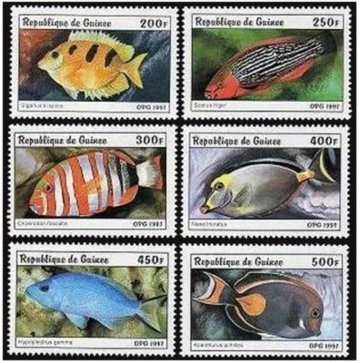 Guinea 1403-1408, 1409 sheet, MNH. Fish 1997. - Image 1 of 2