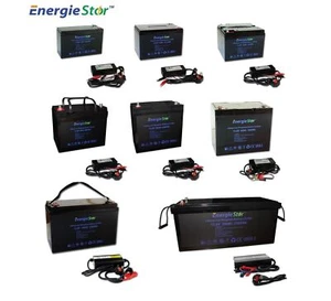 LiFePo4 Battery 12.8V Lithium-Ion Iron Phosphate 12V Deep Cycle Heavy Duty - Picture 1 of 32