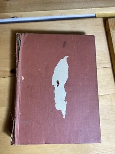 1st ED 1930 THE YELLOW KNIGHT OF OZ Book SEE PHOTOS no cover - Picture 1 of 12