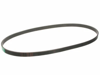 Cinturón primario multi costilla para Audi Allroad Quattro 2003-2005 91291MG 2004 4,2 L V8 Foto 1 de 2