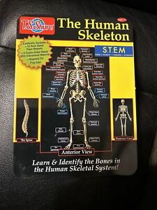 NEW Bendon T.S. Shure Human Skeleton Educational Magnetic Tin w. Magnets & More
