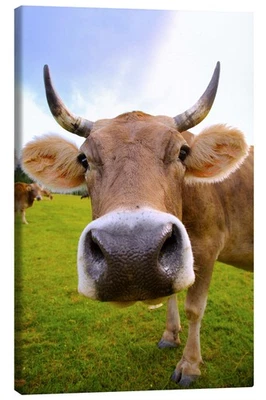 Leinwandbild Kuh Erna - Bild 1 von 4