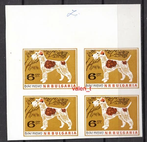 1964 Bulgaria ERROR Animals Dogs Terrier unperforated, Block of 4, MNH** RRRR - Picture 1 of 1