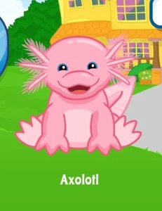 Webkinz Axolotl Virtual PET Adoption Code Only Messaged Webkinz Code - Picture 1 of 1
