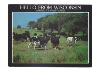 Postal cromada Hello From Wisconsin, America's Dairyland, 1990 - Imagen 1 de 2