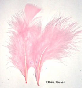 1 pound Feathers Marabou Fluffy 3-8" 29 Colors Available approx 2500 per lb