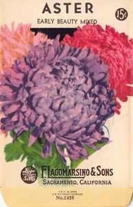 Paquete de semillas vintage: Mixed ASTER, Lagomarsino & Sons, Sacramento, años 40 - Imagen 1 de 2