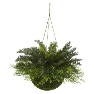 Pianta Artificiale Cycas Quasi Naturale da Interno/Esterno in Muschio Cesto da Appendere - Foto 1 di 3