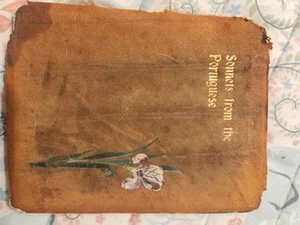 Sonnets from the Portuguese by Elizabeth Barrett Browning Bound In Suede Leather - Bild 1 von 4